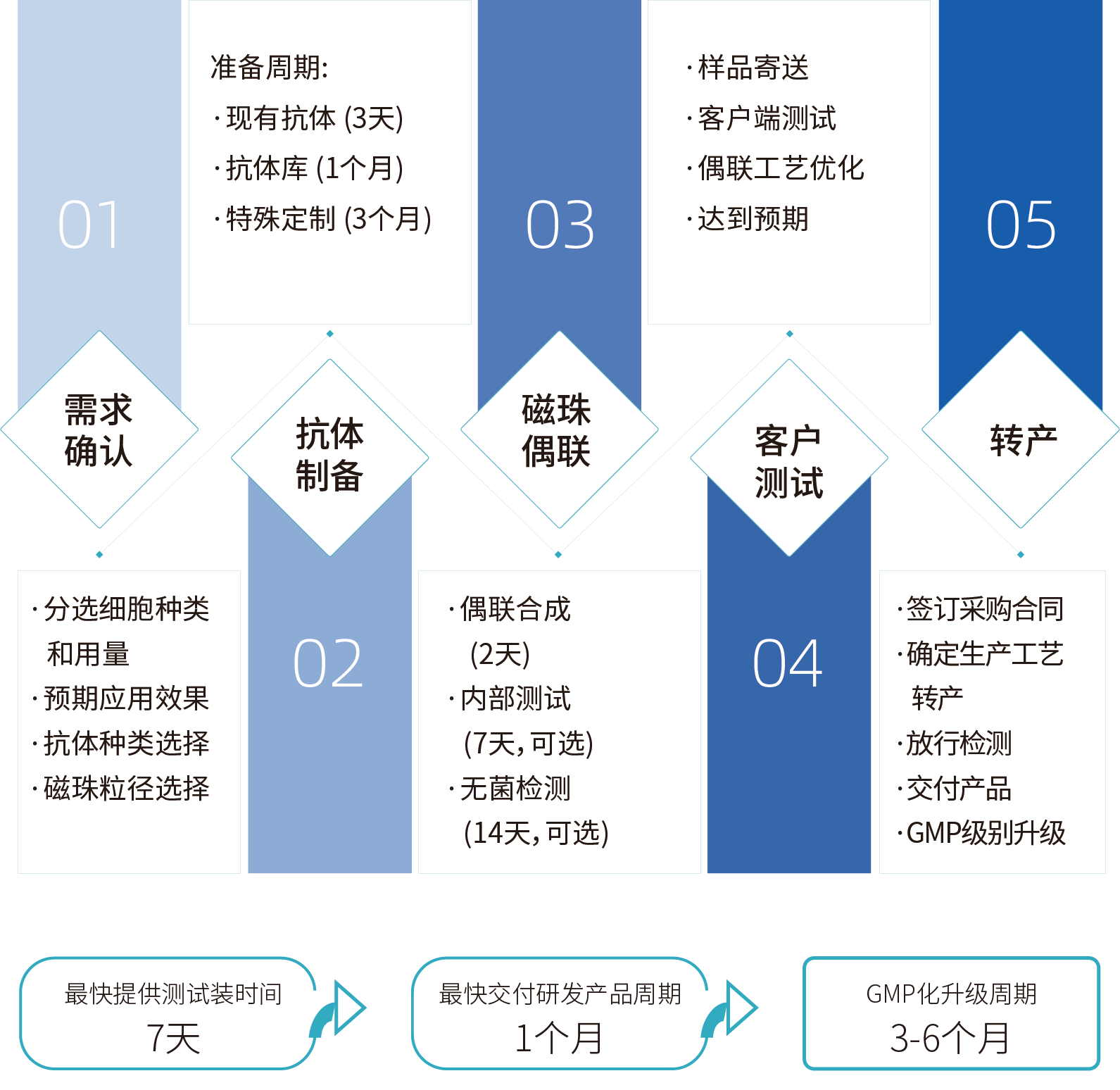 W88优德官网细胞分选激活磁珠/分选磁珠定制，定制流程