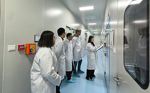 W88优德官网顺利通过欧洲客户审计，加速国际化布局