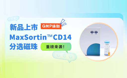 新品上市 | GMP级别MaxSortin™CD14分选磁珠重磅来袭！