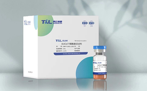 特别推荐—GMP级别ActCel T细胞激活试剂重磅上市！