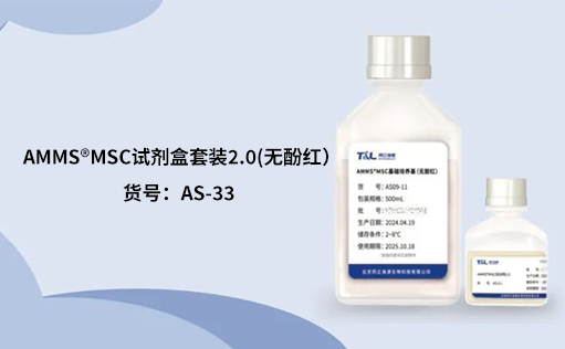 人间充质干细胞培养：挑战与应对之策